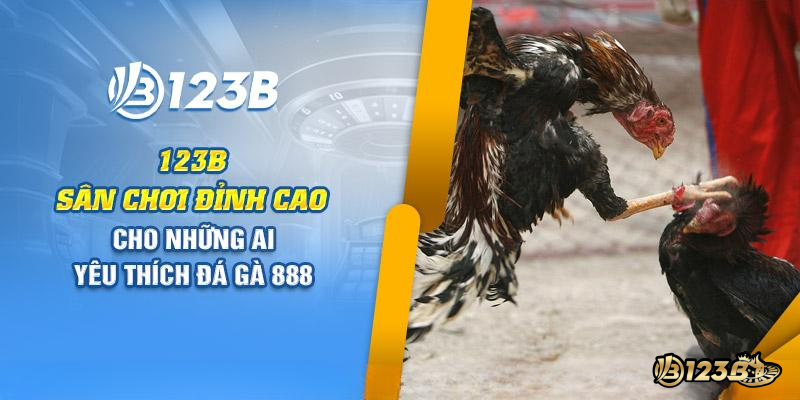 Đá gà 888 tại nhà cái 123B