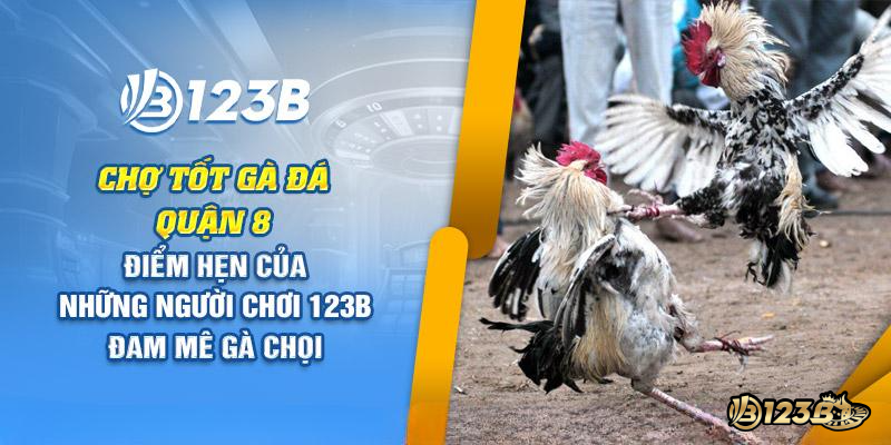 Chợ tốt gà đá quận 8 tại 123B