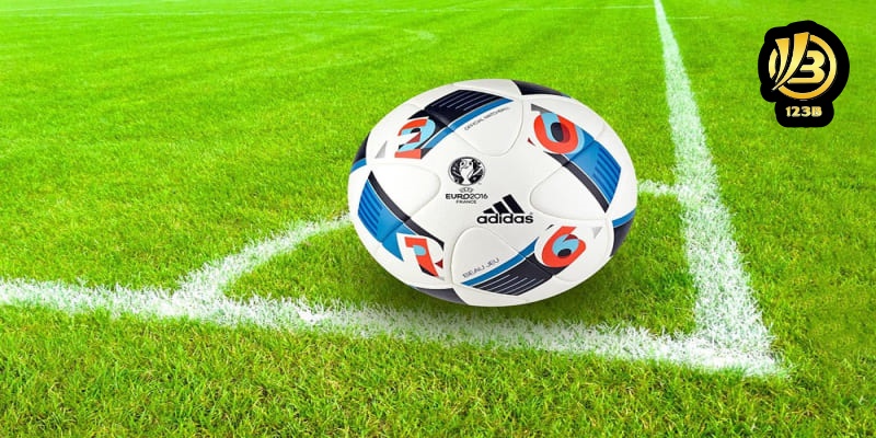 Thủ thuật đặt cược chấp 2.5 trái hay nhất cho các tân thủ